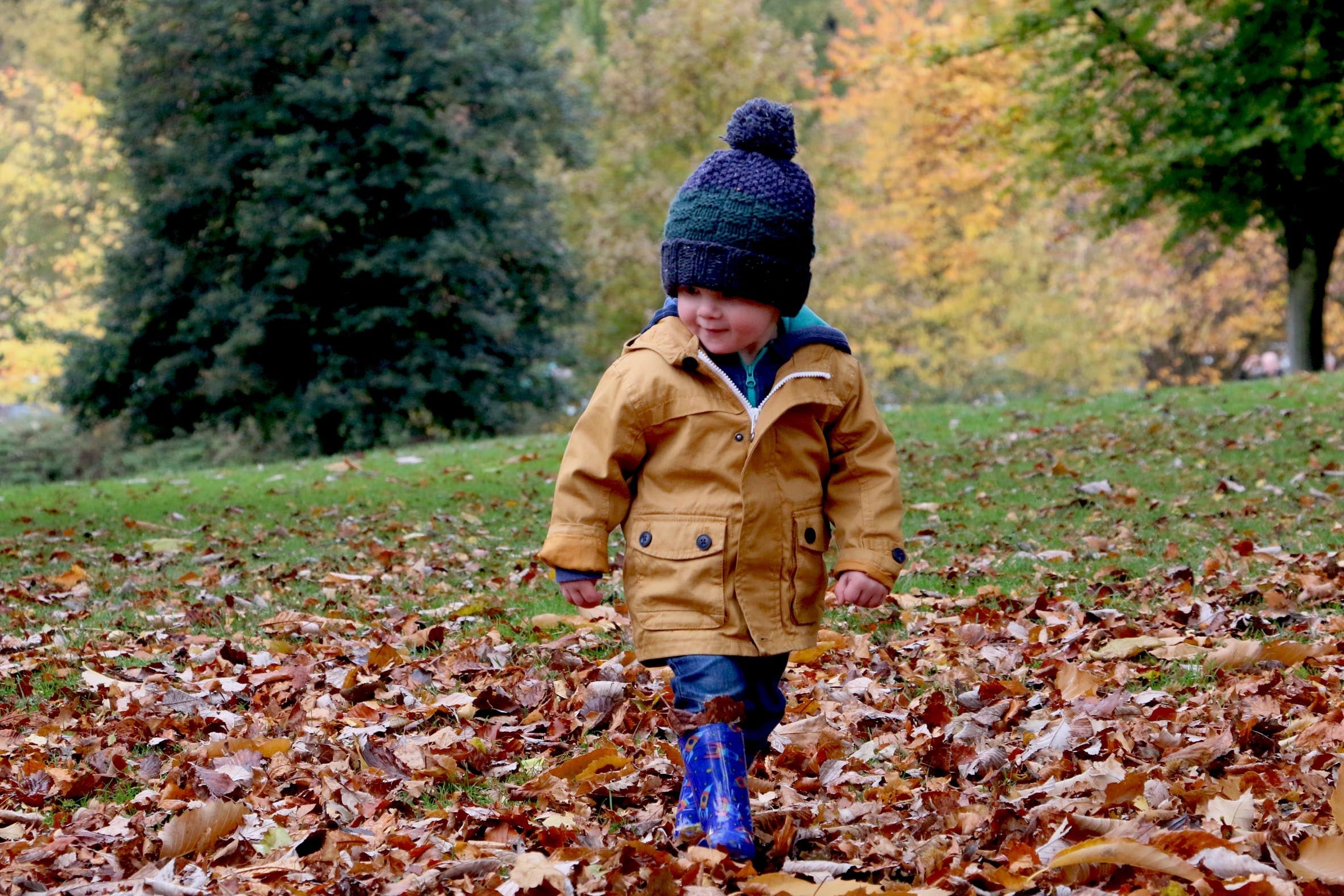 kids-nature-walk