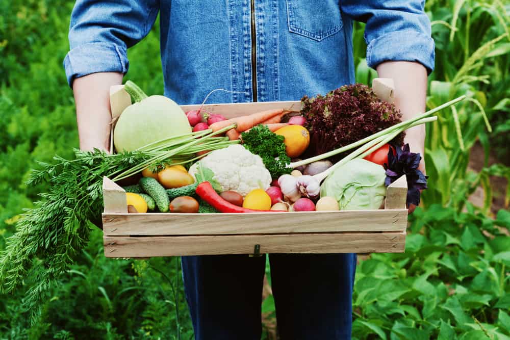 fall farmers market basket